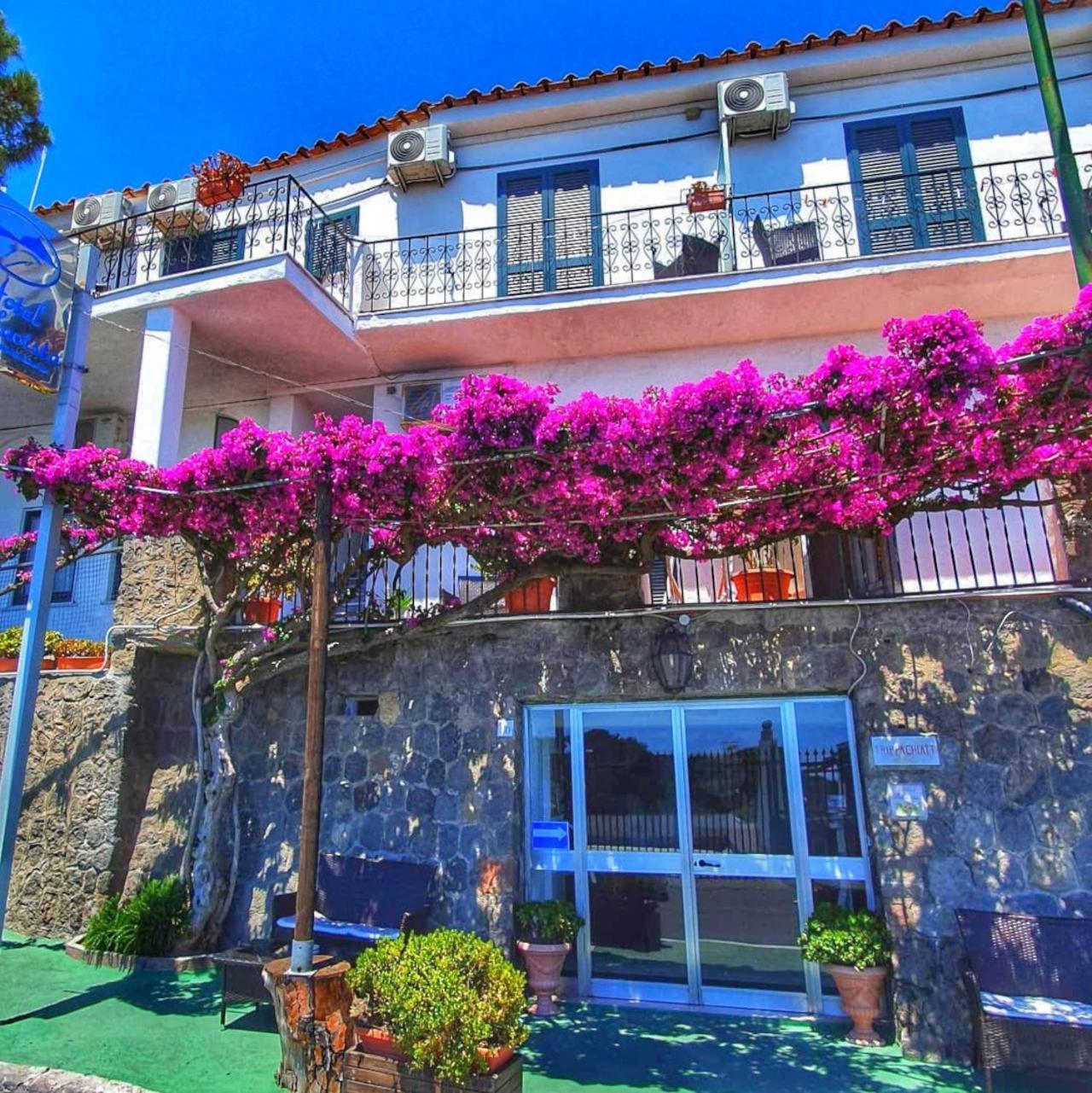 Hotel Bellavista Іскія Екстер'єр фото